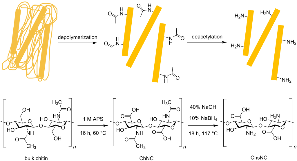 [1860-5397-16-201-i1]