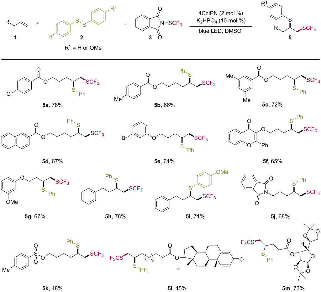 [1860-5397-17-49-i3]