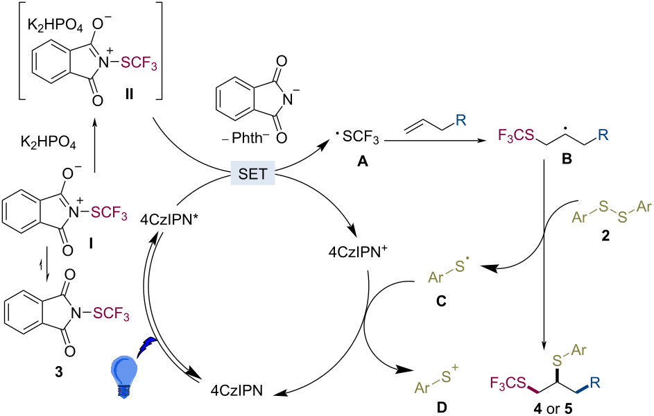 [1860-5397-17-49-i5]
