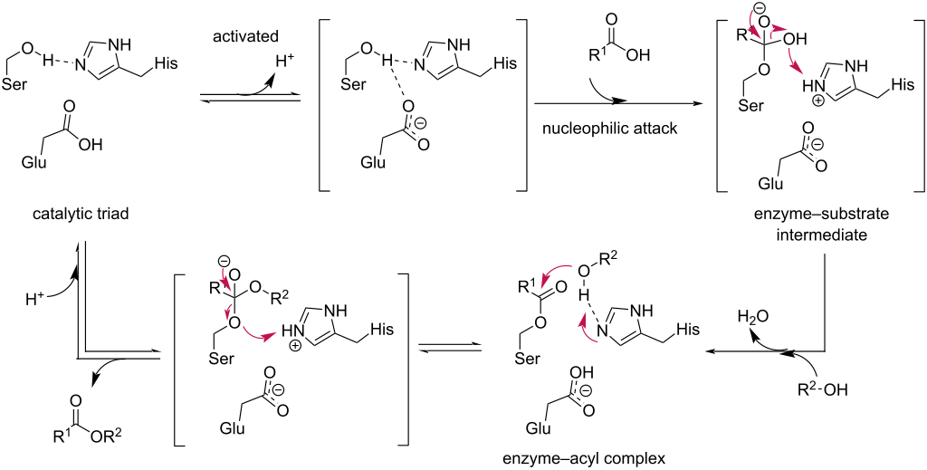 [1860-5397-21-151-i1]