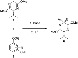 Asymmetric synthesis of quaternary aryl amino acid derivatives via a