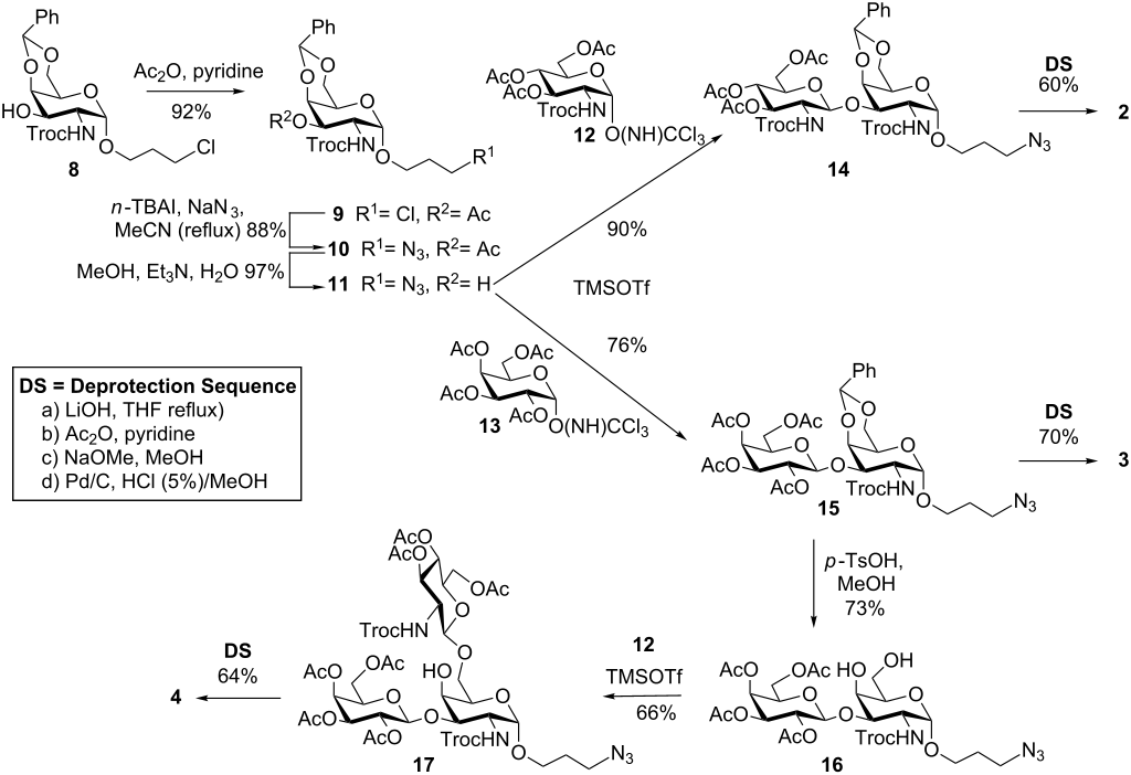 Synthesis of mucin-type O-glycan probes as aminopropyl glycosides