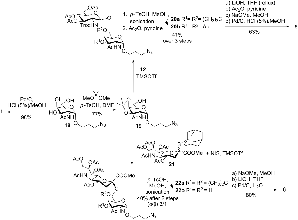 Synthesis of mucin-type O-glycan probes as aminopropyl glycosides