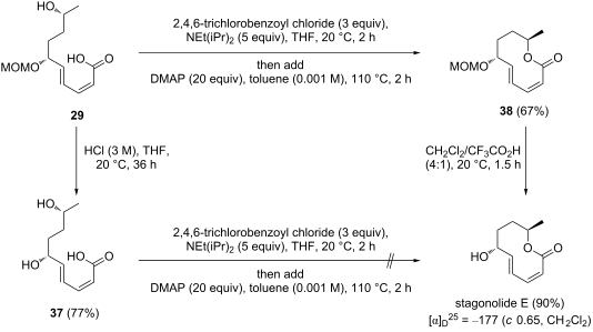 Bidirectional cross metathesis and ring-closing metathesis/ring opening ...