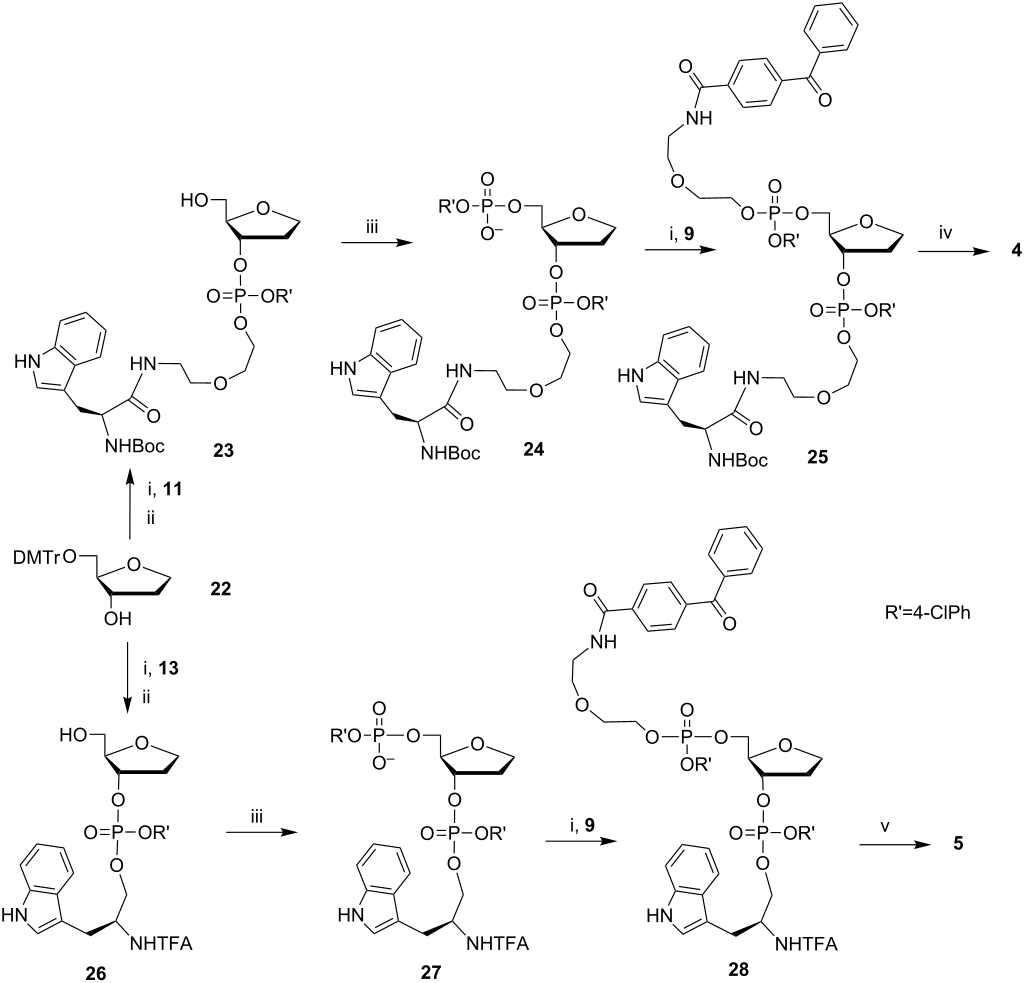 [1860-5397-9-326-i3]