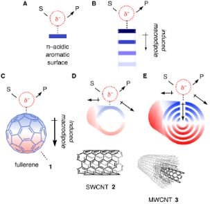 Anion–π catalysis on carbon allotropes